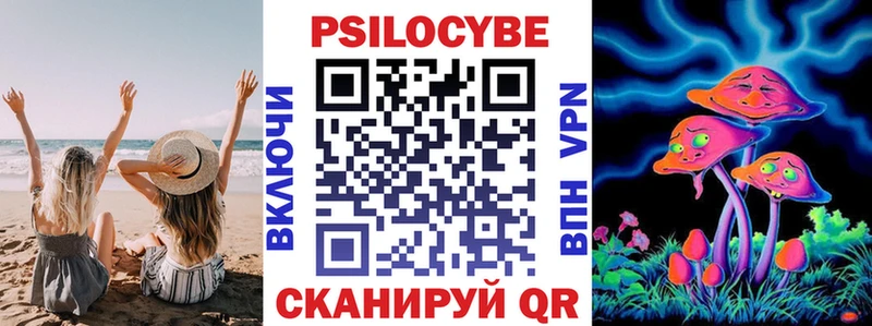 Купить где Зеленоградск Псилоцибиновые грибы Magic Shrooms